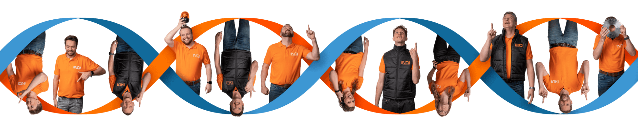 INDI_DNA